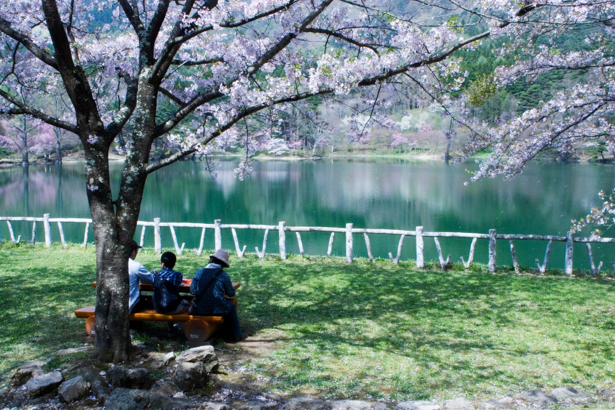 半田沼の写真4