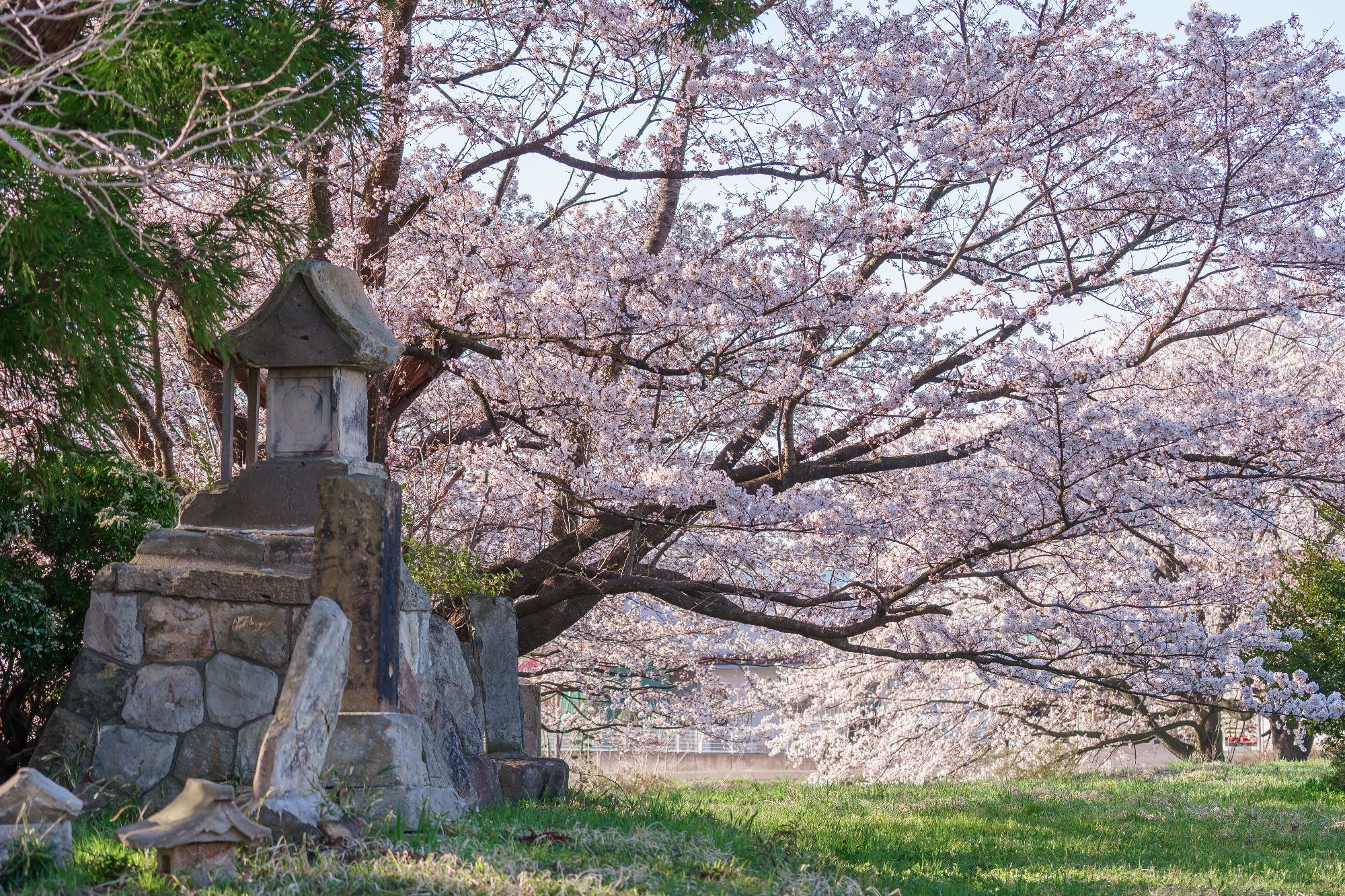 つつじヶ丘史跡公園2
