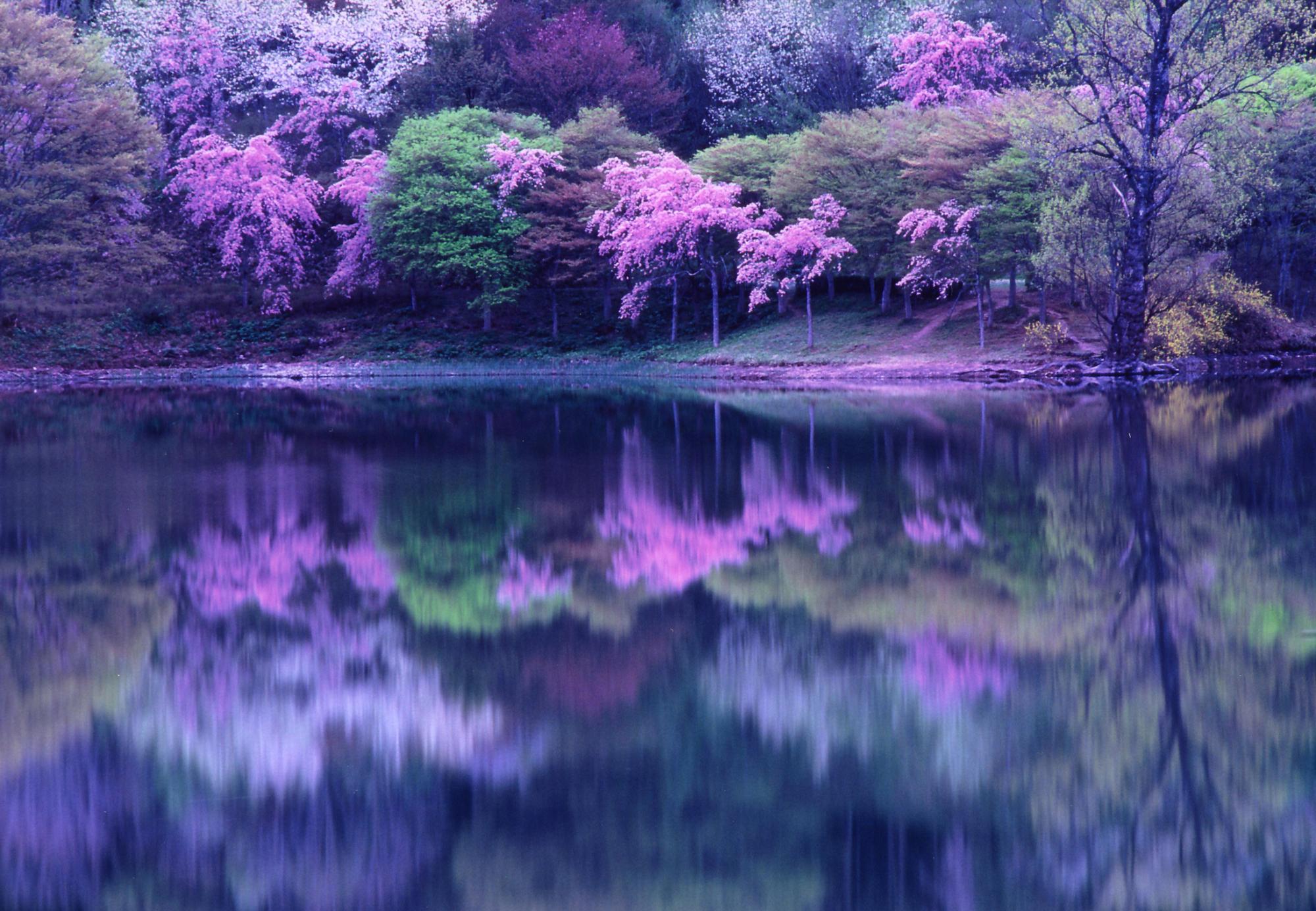 半田山自然公園の画像1
