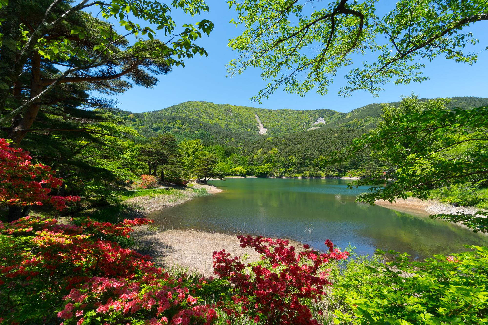 半田沼の画像1