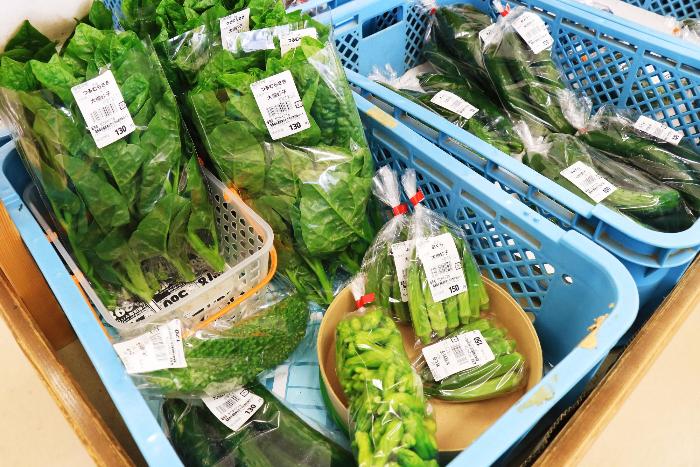 野菜の写真