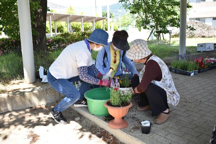 花の寄せ植え教室2