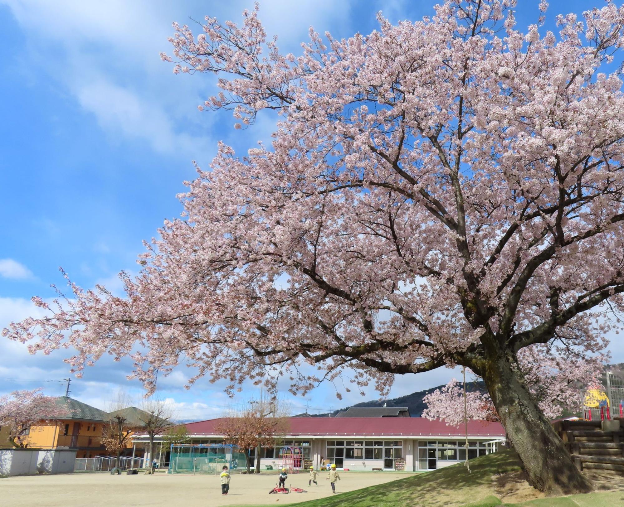 醸芳幼稚園