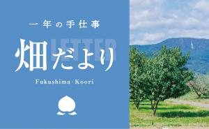 畑だより