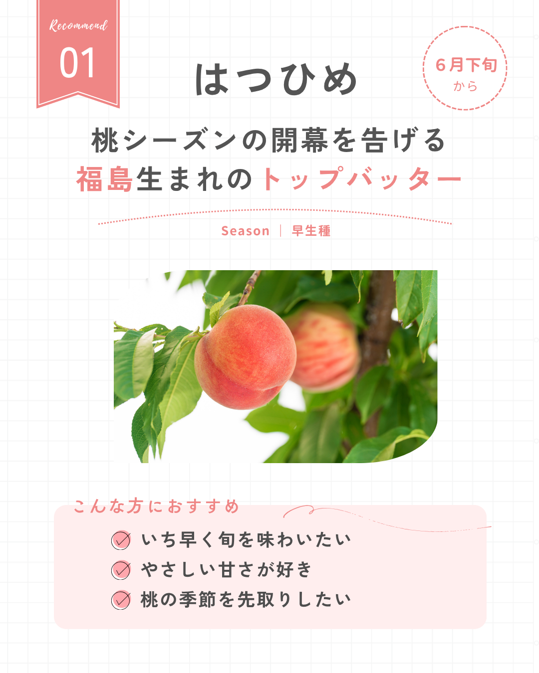 はつひめ