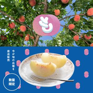 桃の直売フェア
