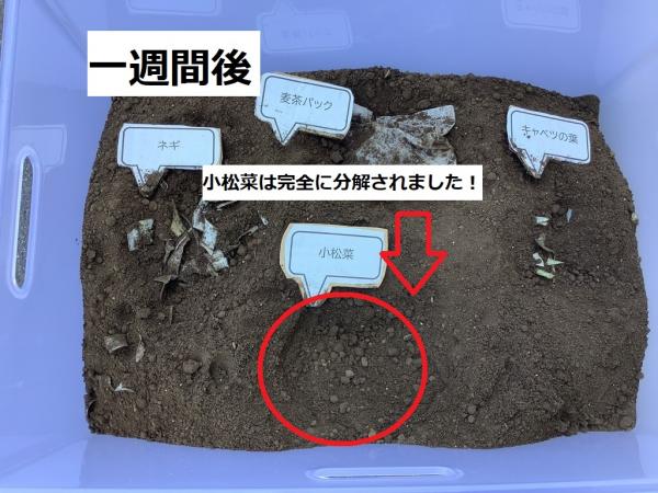 一週間後