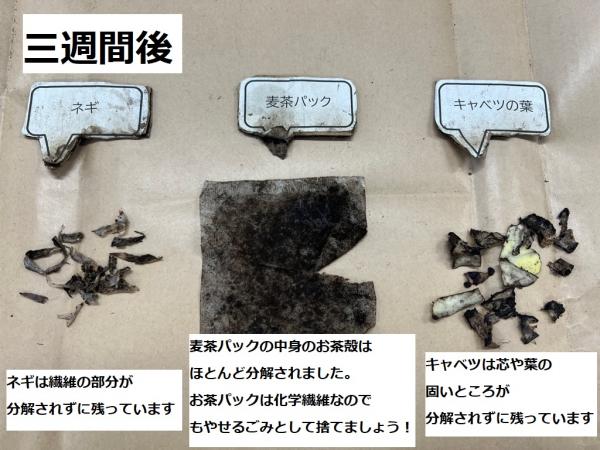 三週間後