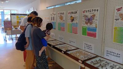 家族で見学