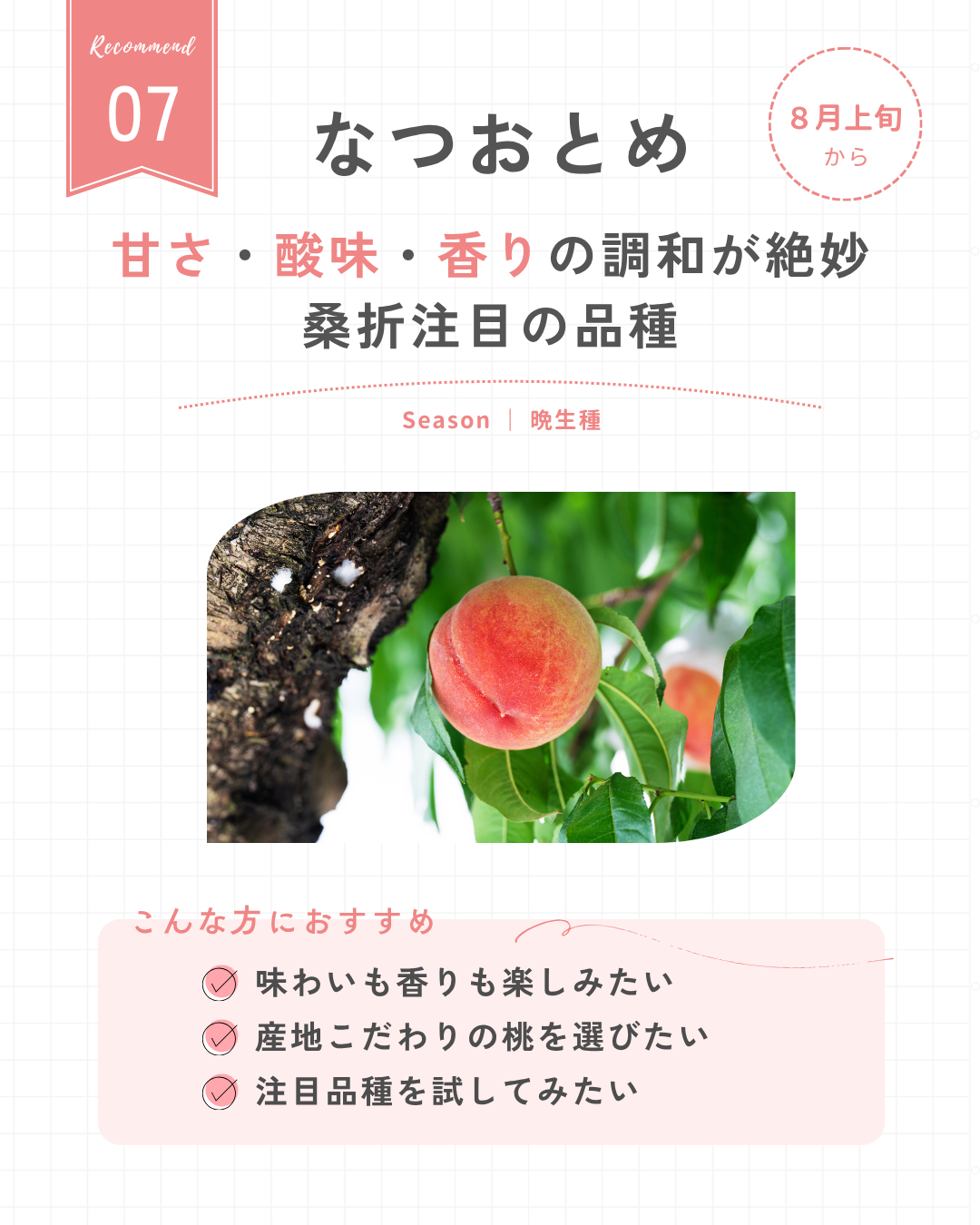 なつおとめ
