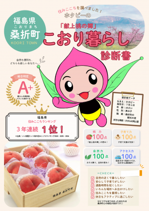 こおり暮らし診断書