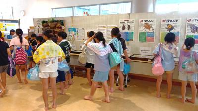 プール帰りに見学