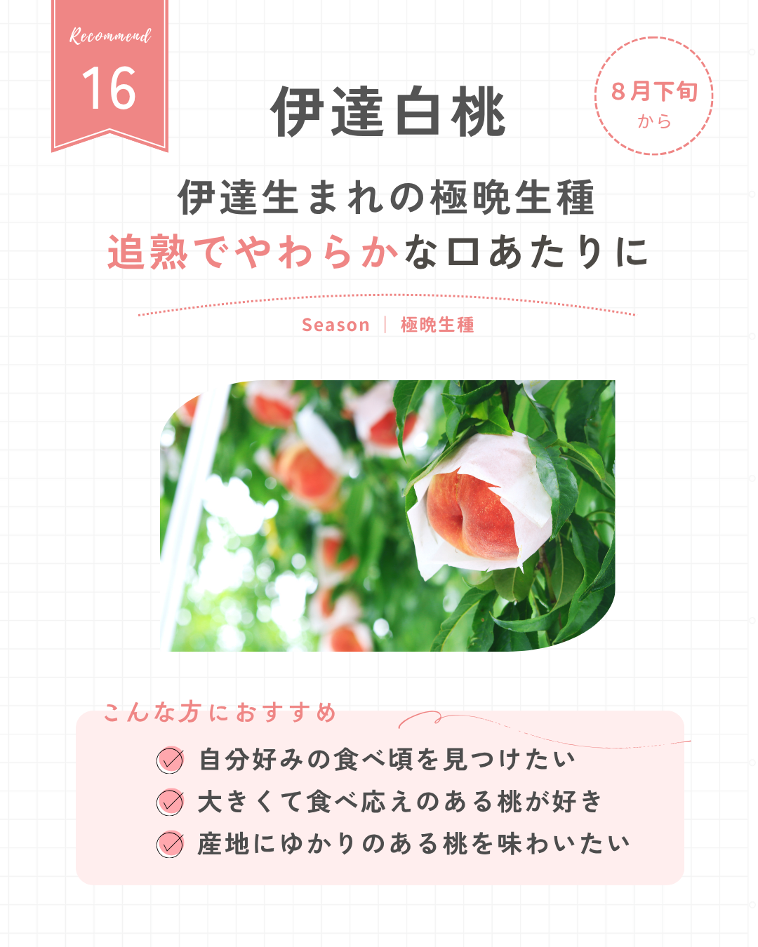 伊達白桃