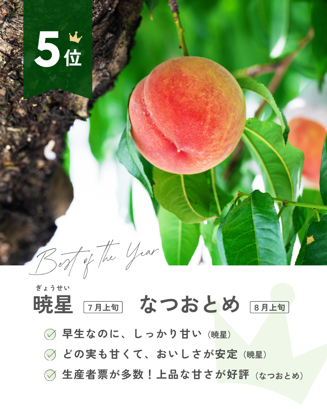 推し桃ランキング