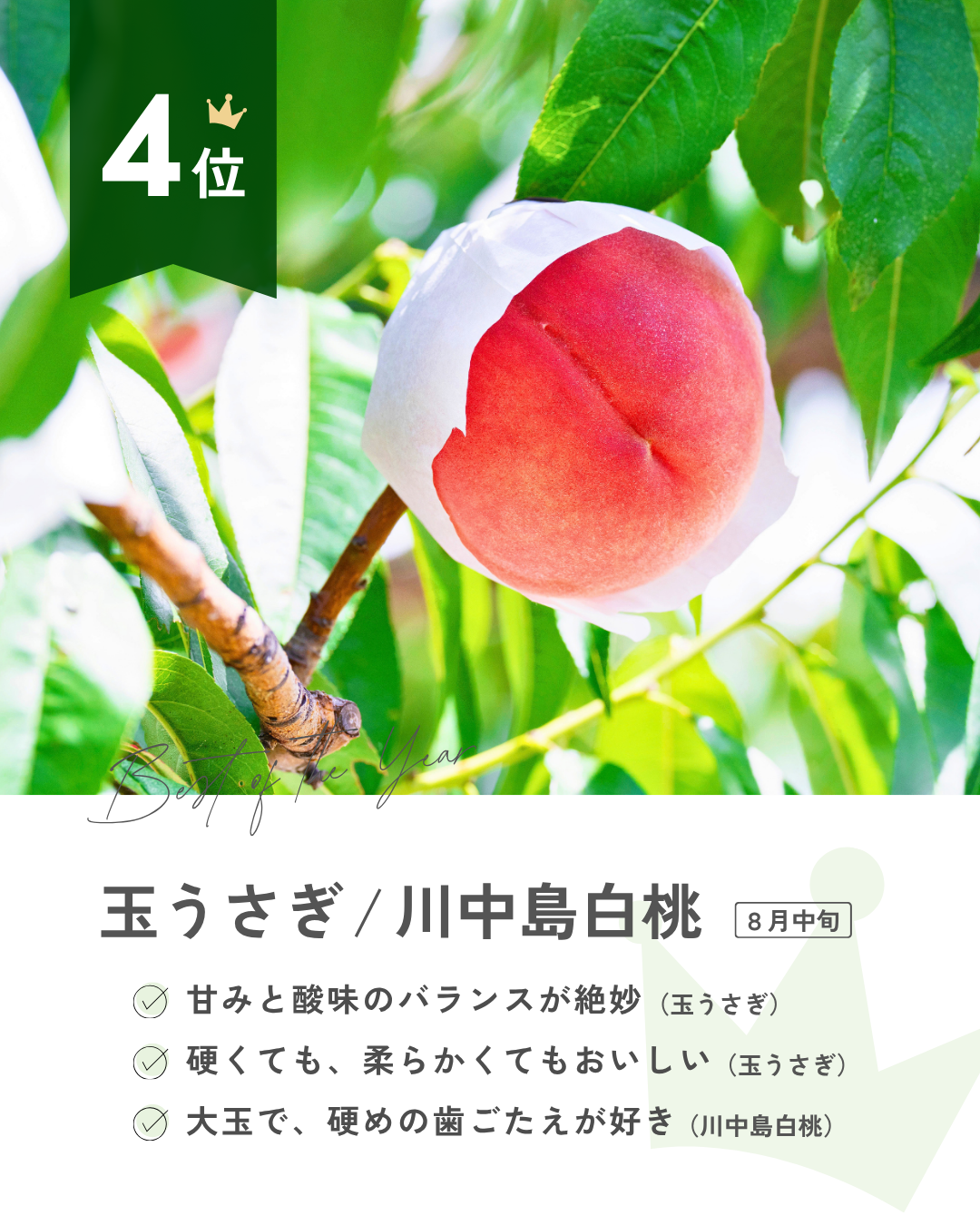 推し桃ランキング