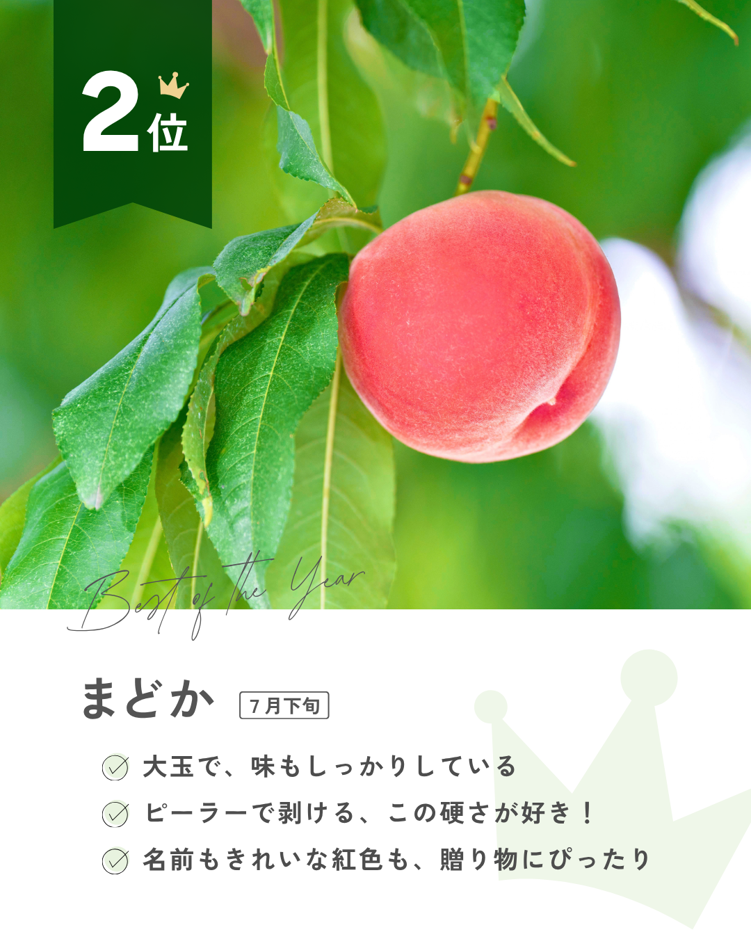 推し桃ランキング
