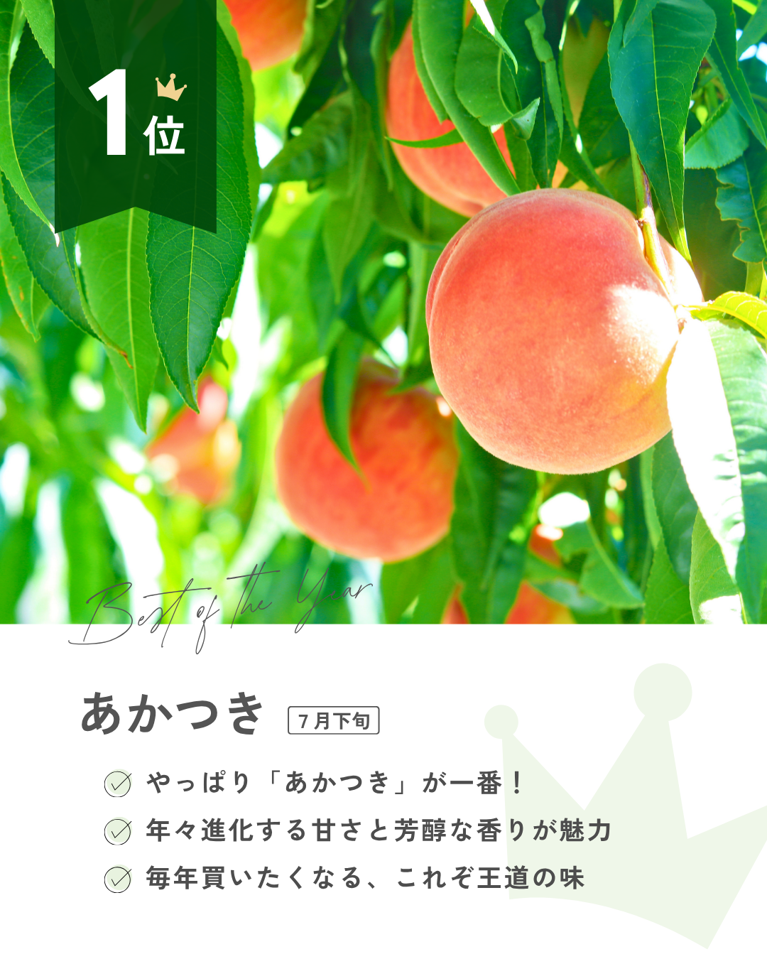 推し桃ランキング