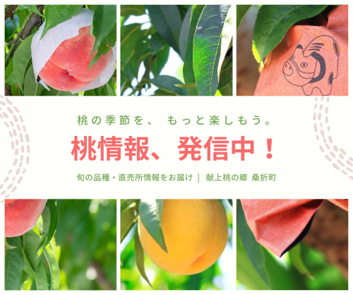 桃情報